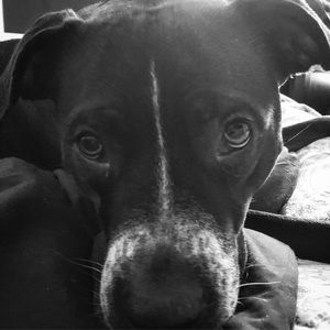 Meet your Posher, Ahna